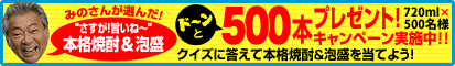 �݂̂��񂪑I�񂾁I�������I�|���ˁ`�@�{�i�Ē����A��500�{�v���[���g�L�����y�[���I�@�N�C�Y�ɓ����Ė{�i�Ē����A���𓖂Ă悤�I
