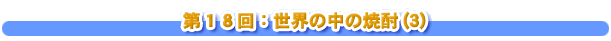 第１８回：世界の中の焼酎(3)