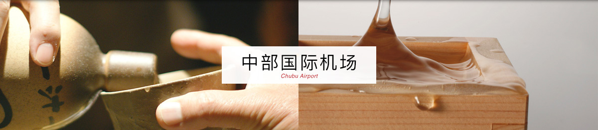 Chubu Airport/中部国际机场 国际线航站楼