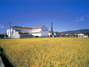 賀茂泉酒造株式会社 酒蔵ツーリズム 賀茂泉酒造株式会社 酒蔵ツーリズム